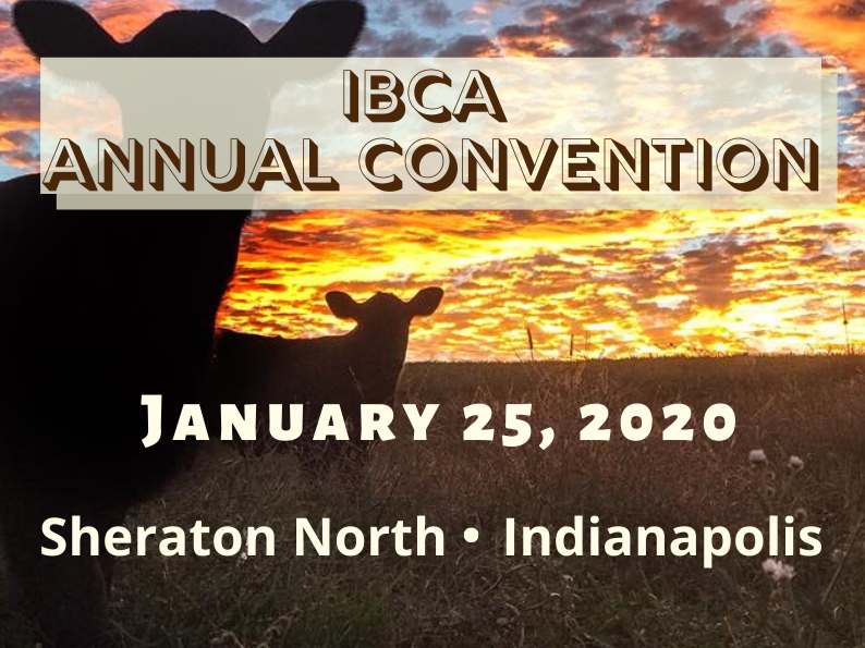 Indiana Beef Cattle Association